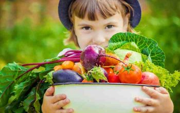 Gesunde ernährung kinder rezepte