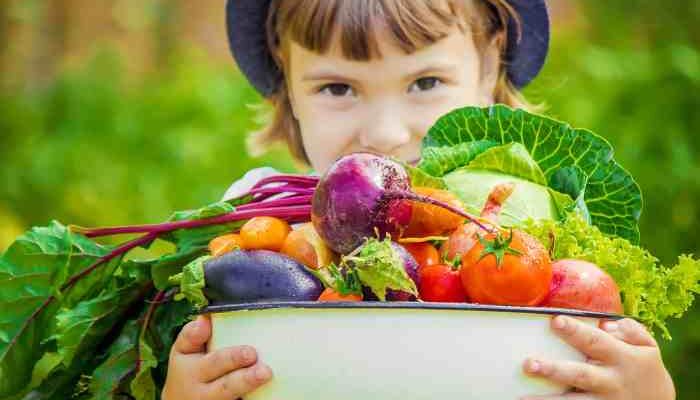 Gesunde Ernährung Kinder Dresden